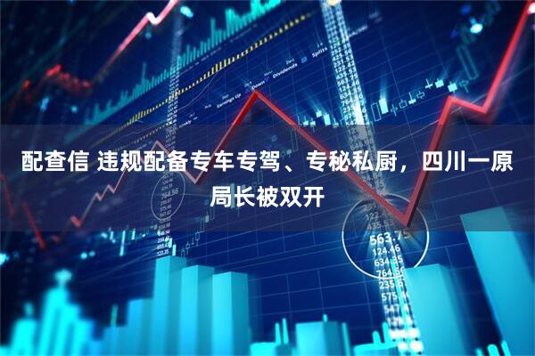 配查信 违规配备专车专驾、专秘私厨，四川一原局长被双开